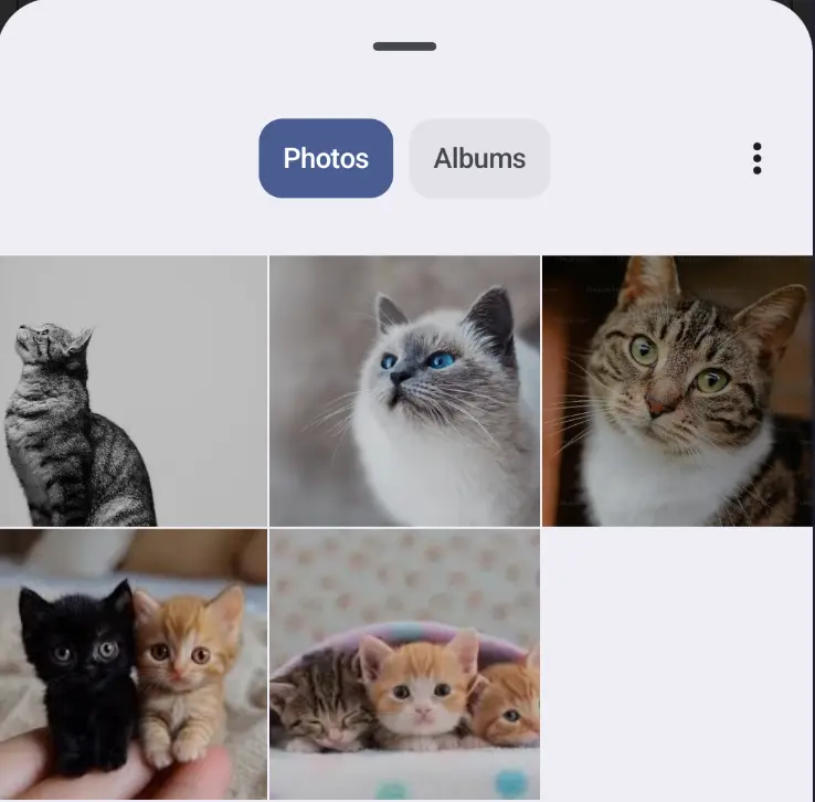 File Picker-1778398817901.webp